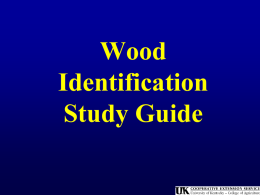 Wood Products ID #2 - Montgomery County Schools