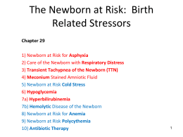 Birth Related Stressors
