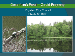 Dead Man`s Pond - City of Puyallup