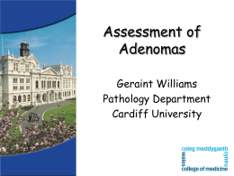 Geraint Williams (Cardiff) - Virtual Pathology at the University of Leeds