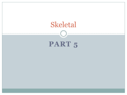 Skeletal – Part 4
