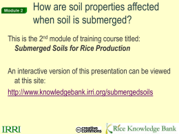 Module 2 ver 7 - Rice Knowledge Bank