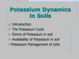 Potassium Dynamics in Soils