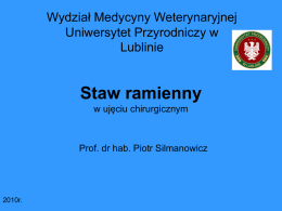 Staw ramienny - Wydział Medycyny Weterynaryjnej UP w Lublinie