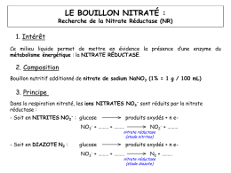 LE BOUILLON NITRATÉ : Recherche de la Nitrate Réductase