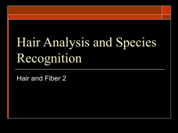 Non-Human Hair Analysis