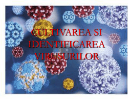 lp 8 – Virusuri, identificare si cultivare