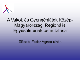 Fodor Ágnes: a VGYKE bemutatása - Vakok és Gyengénlátók Közép