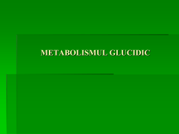 METABOLISMUL GLUCIDIC