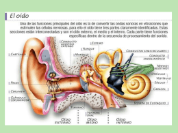 discapacidad auditiva
