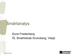 Smärtanalys, Sune Fredenberg