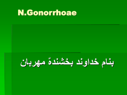 N.gonorrhoae