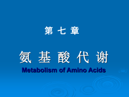 氨基酸代谢Metabolism of Amino Acids
