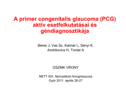 A primer congenitalis glaucoma (PCG)