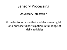Sensory Processing