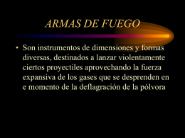 ARMAS DE FUEGO (2)