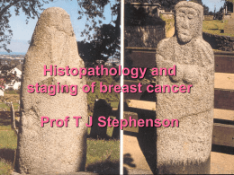 Histopathology and staging of breast cancer Prof TJ Stephenson