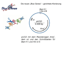 Präsentation "Blue Genes" - biotech
