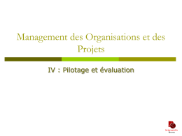 Management des Organisations et des Projets /IV