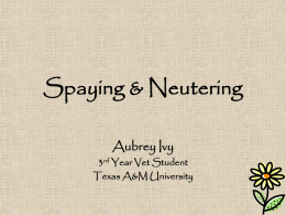 Spaying & Neutering - PEER