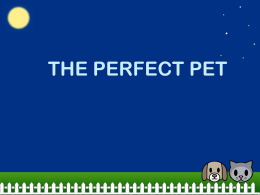 The Perfect Pet PowerPoint