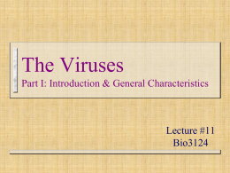 The Viruses Part I - Université d`Ottawa