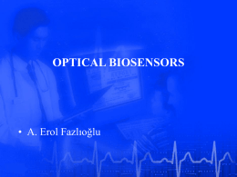 Optical Biosensors (2003)