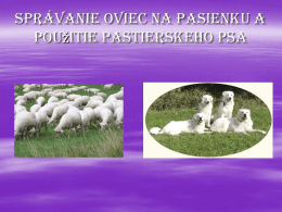 Pasenie_oviec_a_pouzitie_pastierskych_psov