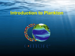 Introduction to Plankton - C-MORE
