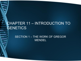 CHAPTER 11 – INTRODUCTION TO GENETICS