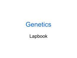 Lapbook_Genetics - Galena Park ISD Moodle
