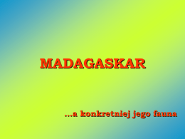 Fauna Madagaskaru