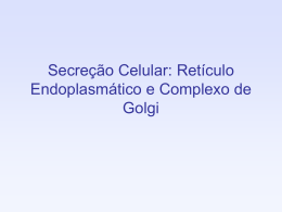 Secreção Celular: Reticulo Endoplasmático e Complexo de Golgi