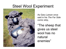 Steel Wool LAB activity
