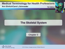 Introduction to Medical Terminology - Cengage Learning