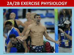 Exercise Physiology - PE Studies Revision Seminars