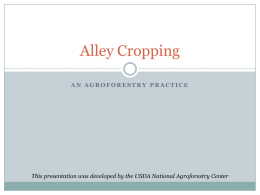 Alley Cropping - National Agroforestry Center