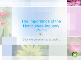 The Importance of the Horticulture Industry (Part B)