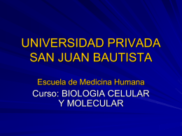 Diapositiva 1 - Universidad Privada San Juan Bautista