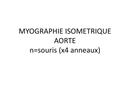 MYOGRAPHIE ISOMETRIQUE