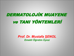 Elemanter lezyonlar - Prof. Dr. Mustafa ŞENOL