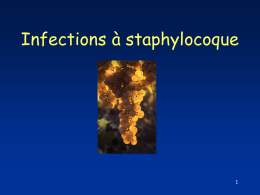 Infections à staphylocoques