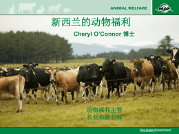新西兰的动物福利