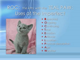 ROC the kitty with the TEAL PAW