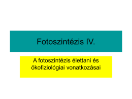 Fotoszintézis III