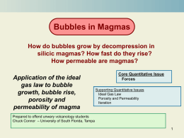 Bubbles in Magma Module - University of South Florida