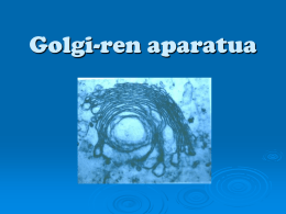 Golgi-ren aparatua