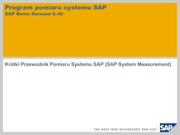 System Measurement Program SAP Basis Release 4.0B