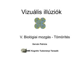 05_Vizualis_illuziok_Biologiaimozgas_kesz
