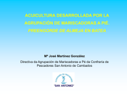 Mª José Martínez. Agrupación de Mariscadores a pie de la Cofradía
